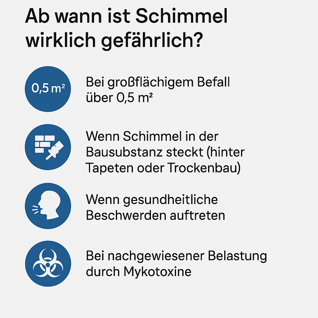Ab wann ist Schimmel gefährlich? 